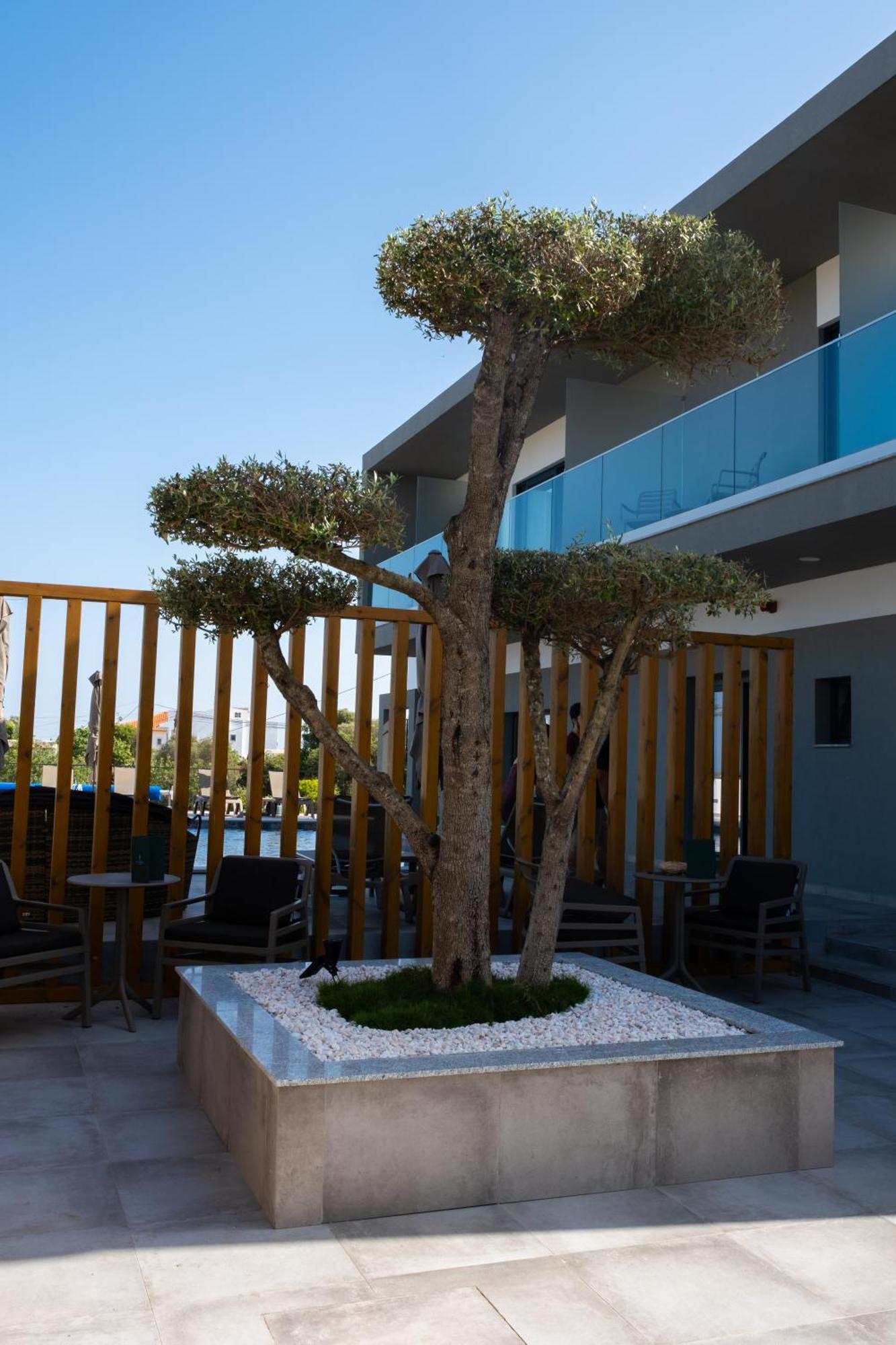 Ria Formosa Guest House FAO Eksteriør bilde